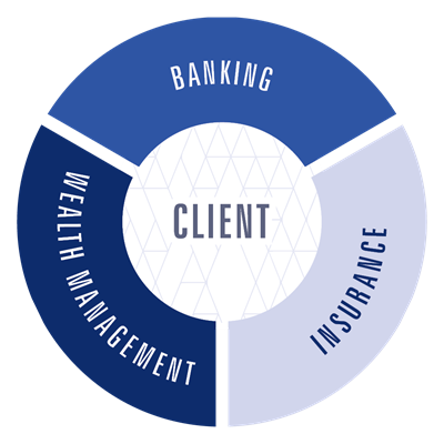 Circle graph with client at center with banking, wealth management, and insurance surrounding the client