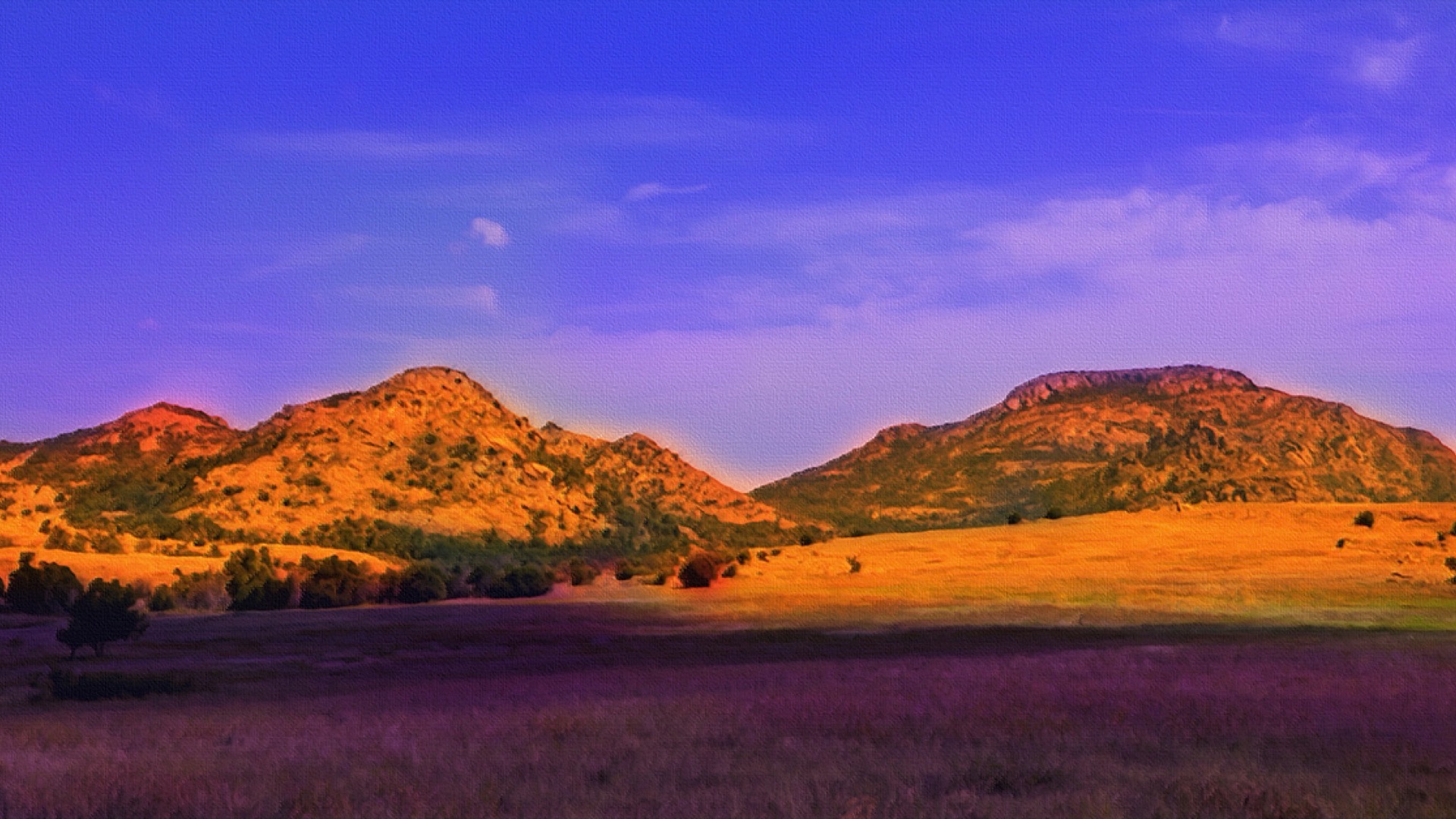 Pawnee Bill's Bison